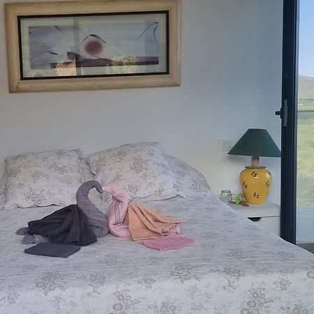 Villelongue-dels-Monts Chambre De Luxe, Spa, Piscine, Entre Mer Et Montagne المظهر الخارجي الصورة